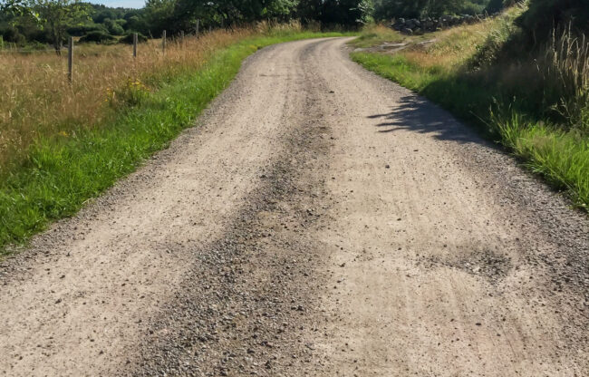Vertical shot of a dirt road in the middle of grassy fields and trees in Sweden