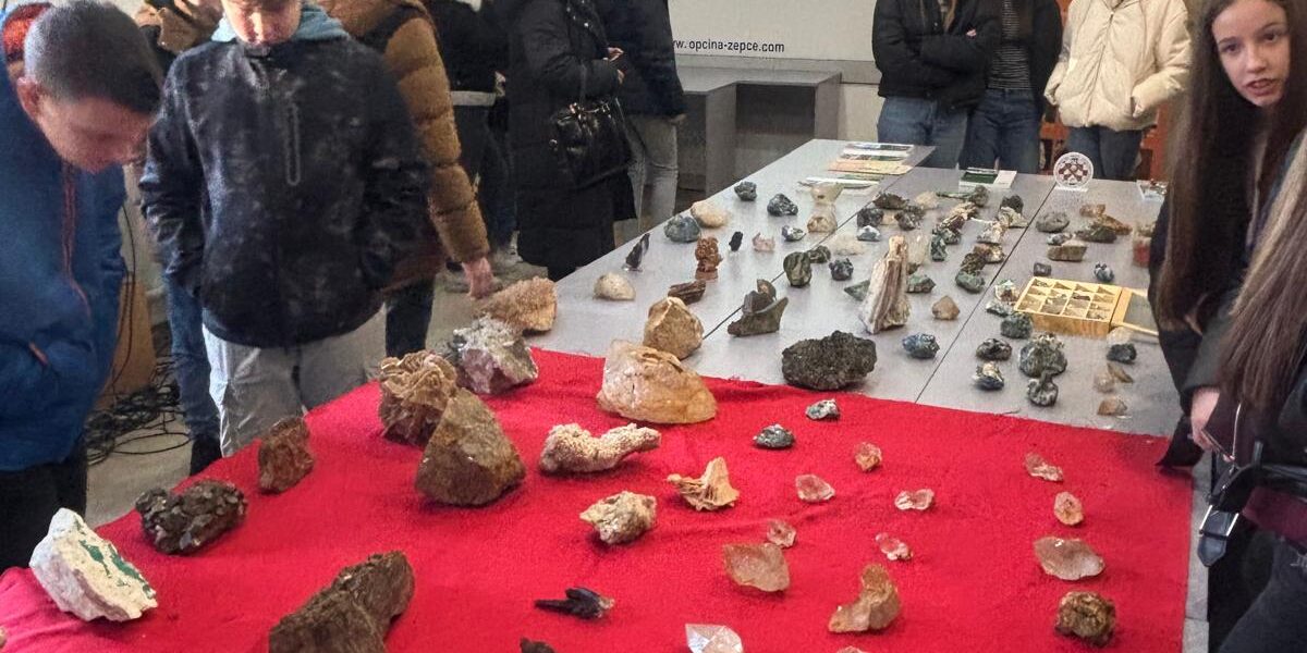 WhatsApp Image 2025-01-31 at 14.17.31 (3)